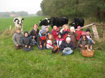 Bild3